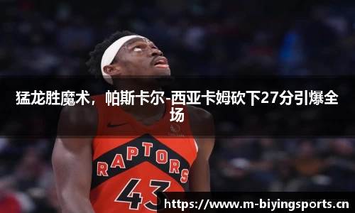 bwin必赢体育官网
